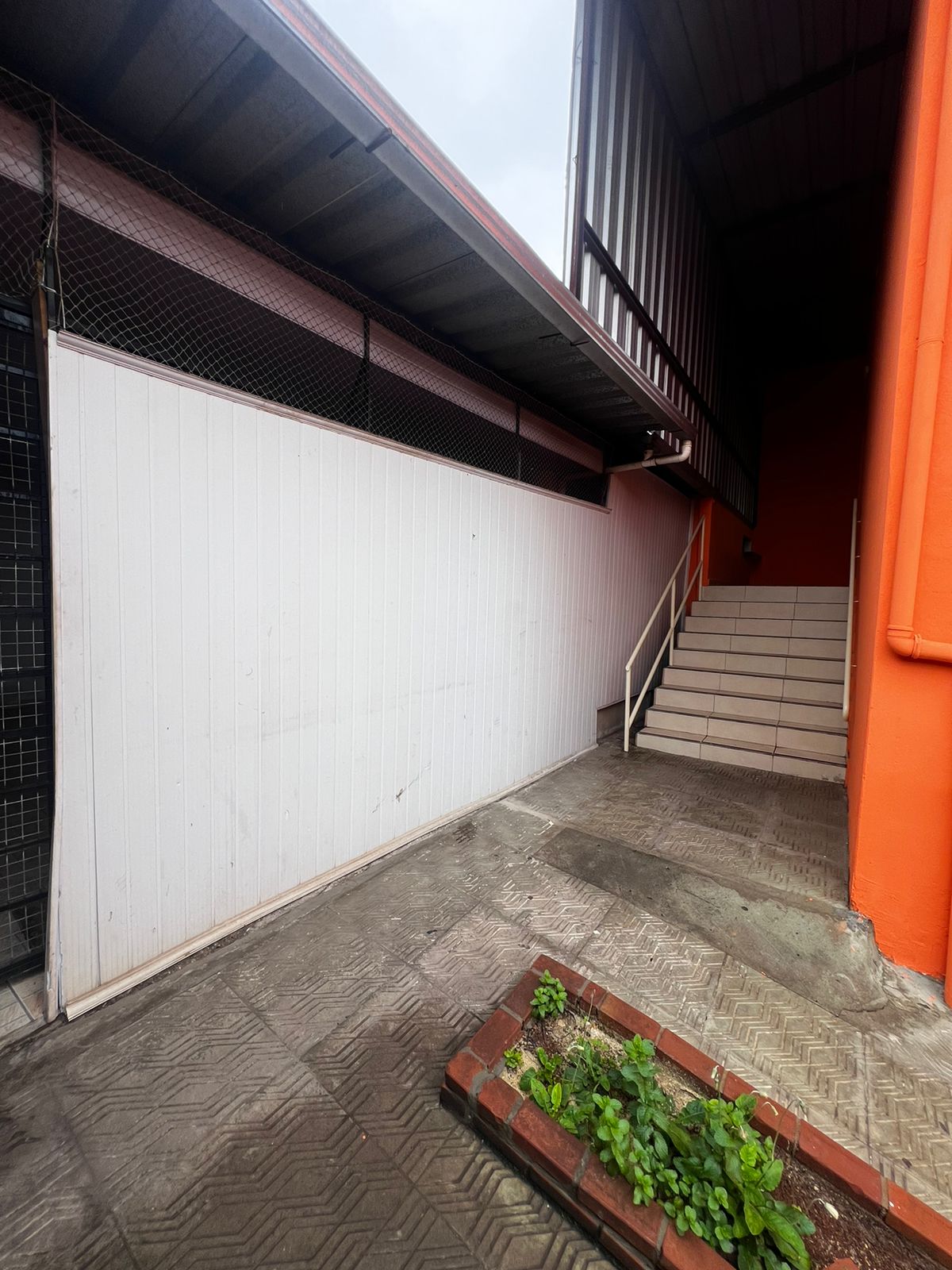 WhatsApp Image 2026-01-06 at 11.22.50