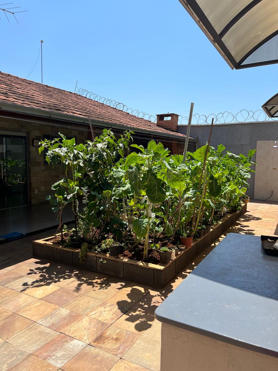 WhatsApp Image 2026-02-06 at 11.07.18 (12)