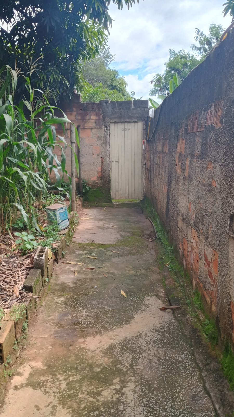 WhatsApp Image 2026-02-13 at 11.07.49