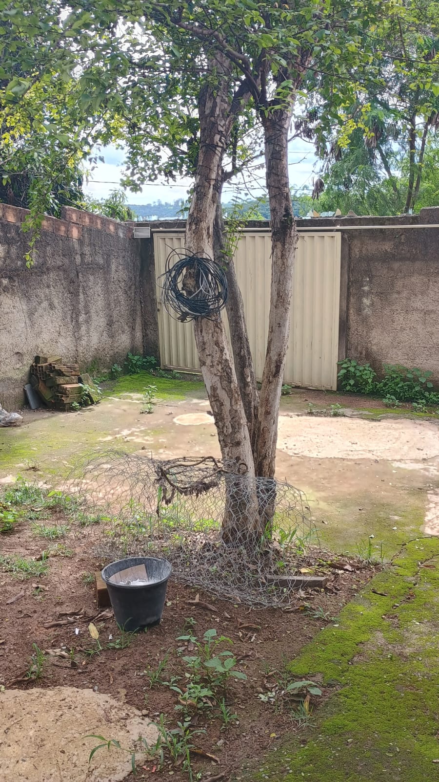 WhatsApp Image 2026-02-13 at 11.07.50