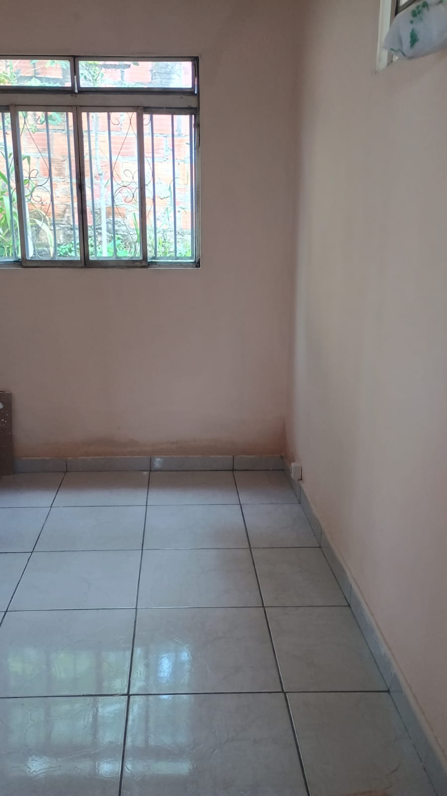 WhatsApp Image 2026-02-13 at 11.07.53