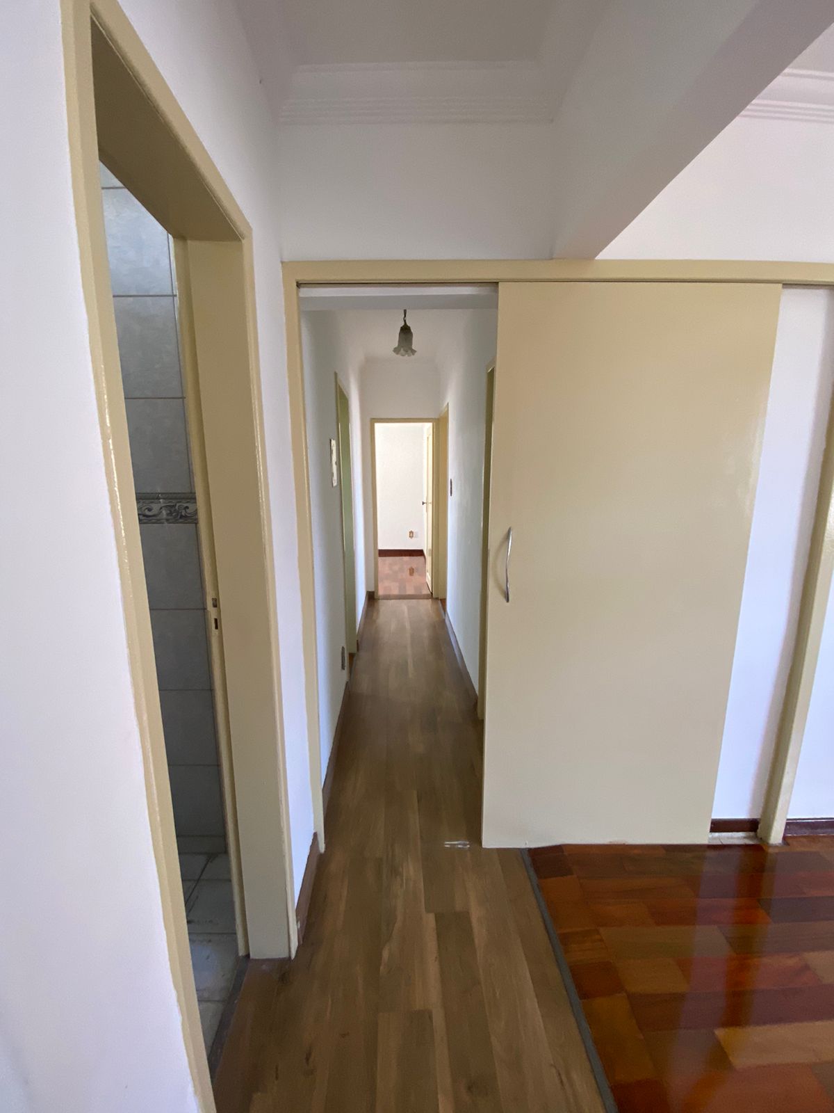 WhatsApp Image 2026-02-13 at 15.45.34