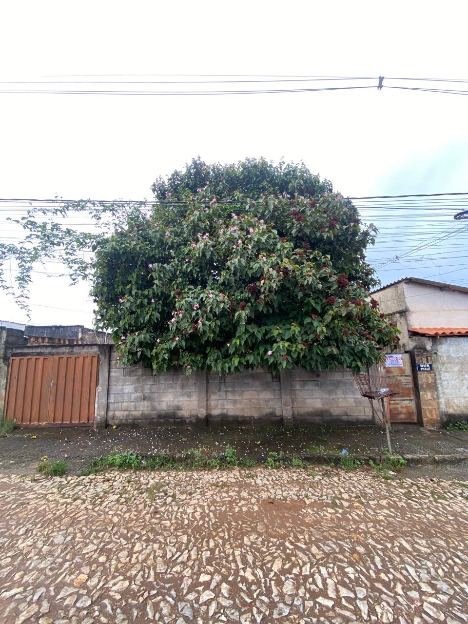 WhatsApp Image 2026-04-08 at 10.15.44 (10)